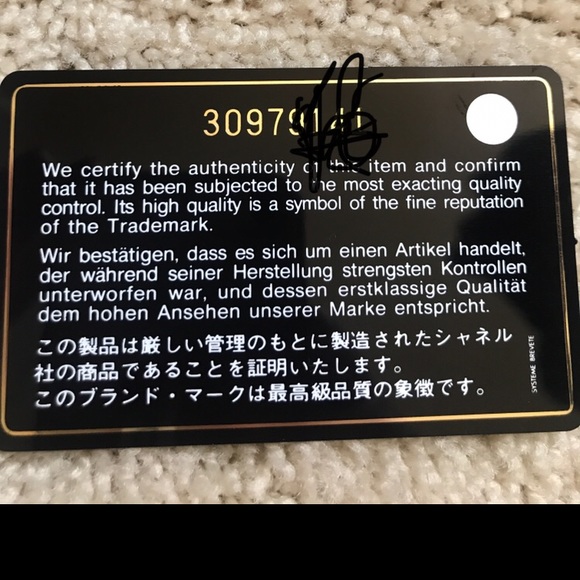 CHANEL 19 WOC iridescent white / ivory 21P - Picture 10 of 12